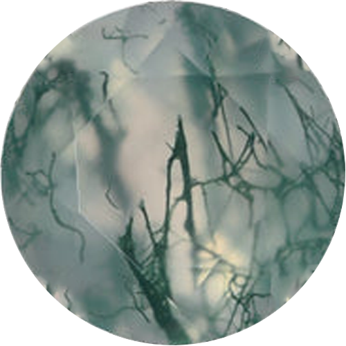 moss-agate-rings